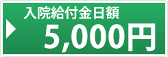 入院給付金日額5000円